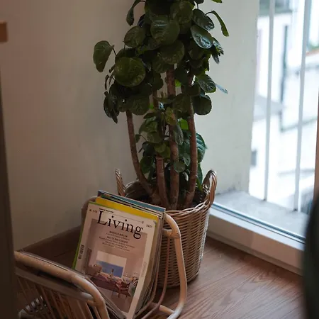 Bruno Domus Colosseo