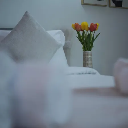 Bruno Domus Colosseo Рим