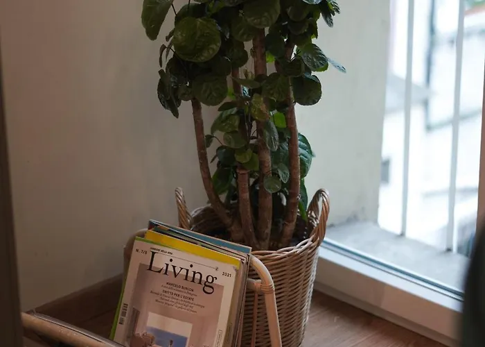 Bruno Domus Colosseo