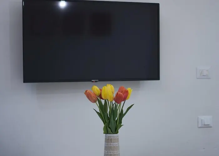 Bruno Domus Colosseo Rome