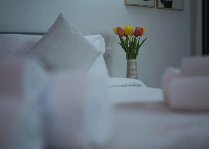 Bruno Domus Colosseo Rome